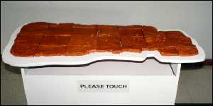 Language of Touch Mural