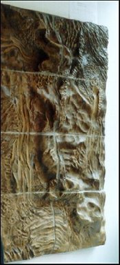 Celebrating Difference 1993